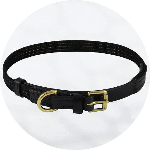 Audenham Black English Bridle Leather with Gold Stranded Webbing and Polished Brass Dog Collar 19mm/0.75