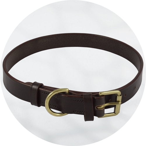 Audenham Brown English Bridle Leather and Polished Brass Dog Collar 19mm/0.75
