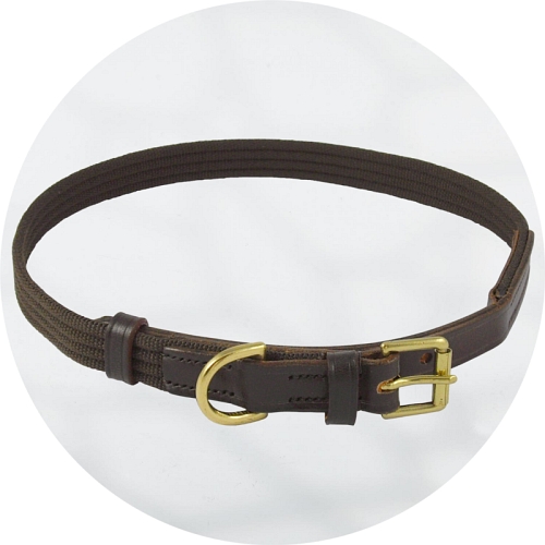 Audenham Brown English Bridle Leather with Brown Webbing and Polished Brass Dog Collar 19mm/0.75