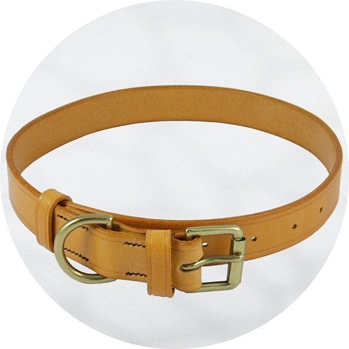 Audenham London Tan English Bridle Leather and Polished Brass Dog Collar 19mm/0.75