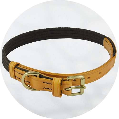 Audenham London Tan English Bridle Leather with Brown Webbing and Polished Brass Dog Collar 19mm/0.75