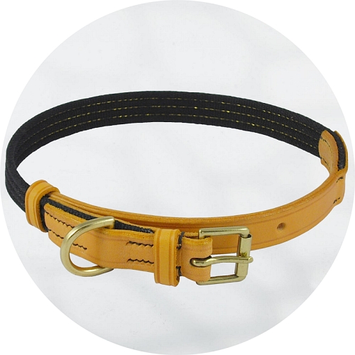 Audenham London Tan English Bridle Leather with Gold Stranded Webbing and Polished Brass Dog Collar 19mm/0.75